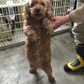 ありがとうございました