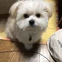 月 ~ Luna ~