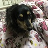 warabi0714 さん