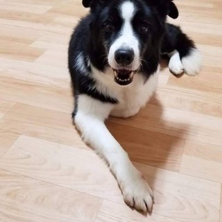 今度こそ幸せに・・・！穏やかなミッキー君