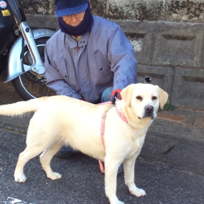ターアヤのカバー写真