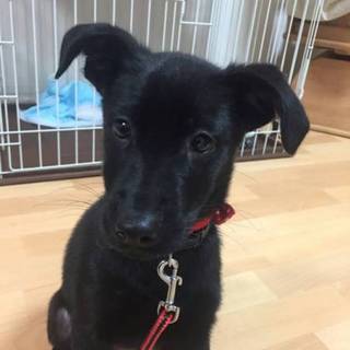 トライアル中のため募集を一時中断させて頂きます❤️