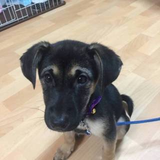 トライアル決定！募集を一時中断させて頂きます❤️