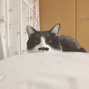 こつぼ。