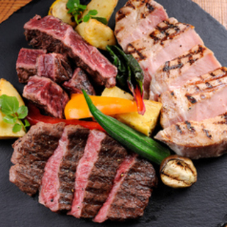 アメモモ♂里親募集