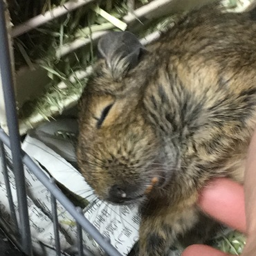 気持ちイイー( *¯ ꒳¯*)