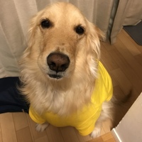 石橋そら