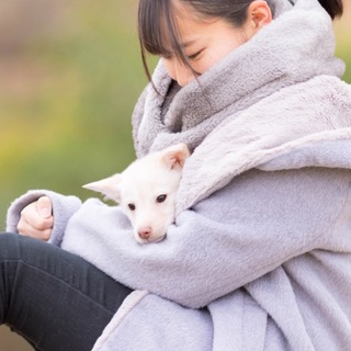 野犬の仔犬　ロン君☆