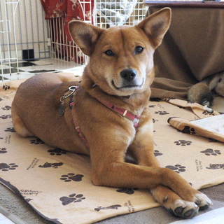 明るく活発な女の子　マルテちゃん