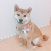 つむぎ