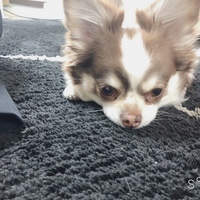 なな
