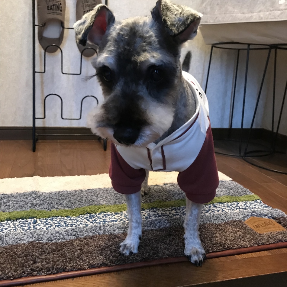 オルドのカバー写真