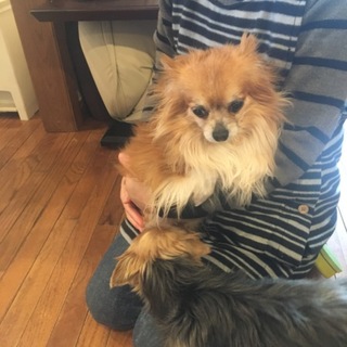 トライアル中♪