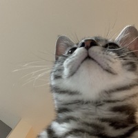 いち