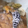 の写真