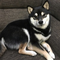 りく