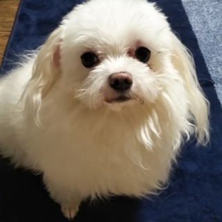 沢山のご応募ありがとうございました