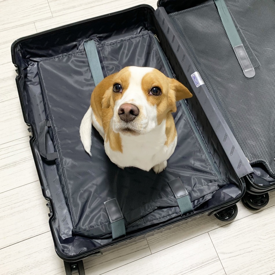 そらのカバー写真