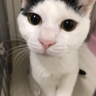前髪が可愛いまさこちゃん