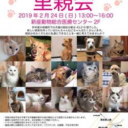 新座動物総合医療センター里親会