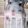 ゆみ