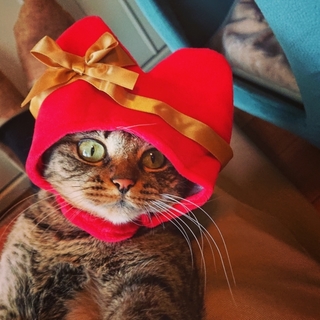 アイドル顔のメギちゃん