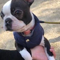 ウーピー