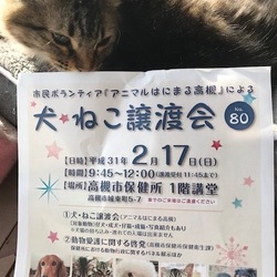 アニマルはにまる高槻による犬・猫譲渡会