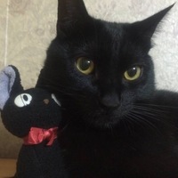 くうたん