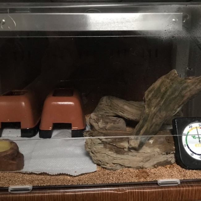 moimoi4112のカバー写真