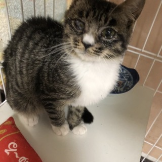 手ぶくろがかわいい☆甘えん坊まるくん