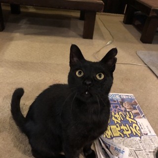 甘えん坊な4歳の男の子