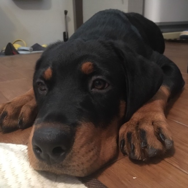 Yuki0416のカバー写真