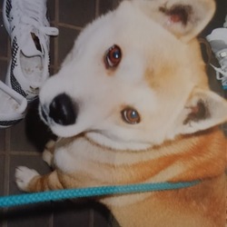 ✨銀太の誕生日✨③