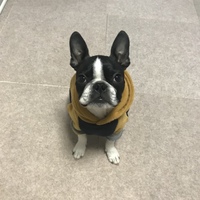 レオ