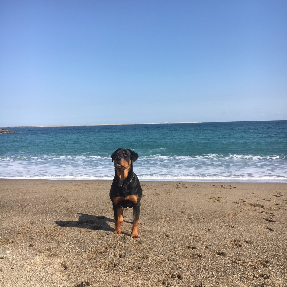 Nanaのカバー写真