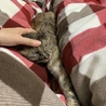の写真