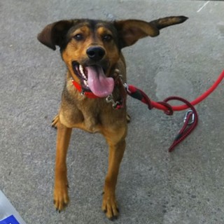 もーれつウ太郎