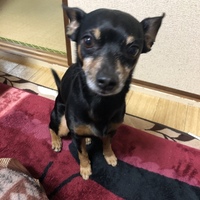 じん