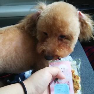 愛情は独り占めしたい！可愛い女の子