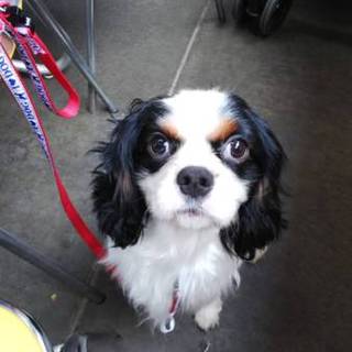 ありがとうございました！