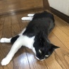  さん