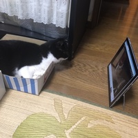 どな