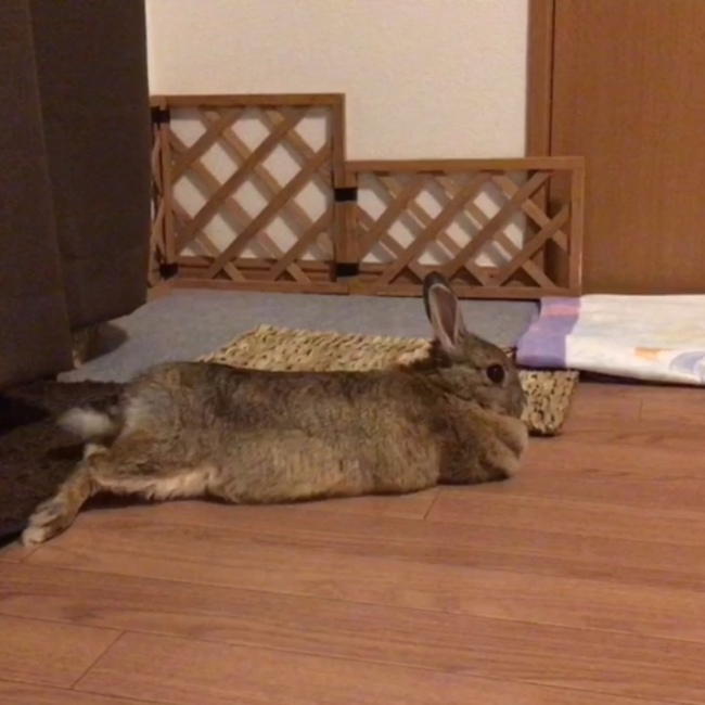 yukaseopのカバー写真