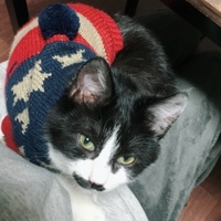 初ちゃん 