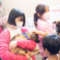 NPO法人アニマルレスキューＭikiJapan 譲渡会 サムネイル3