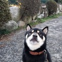 代理投稿です！