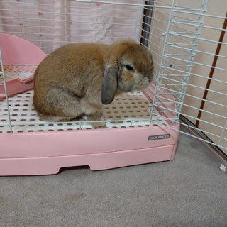 人見知りだけどやんちゃな男の子