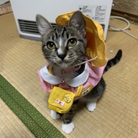 もも