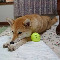 夢路